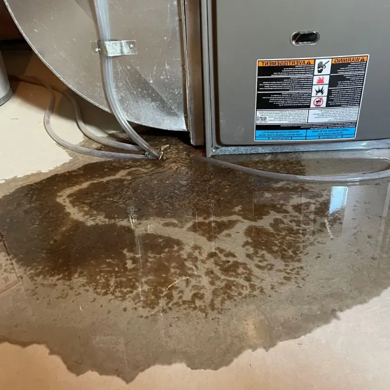 Pipe Burst and Leak Restoration in Cambridge, OH