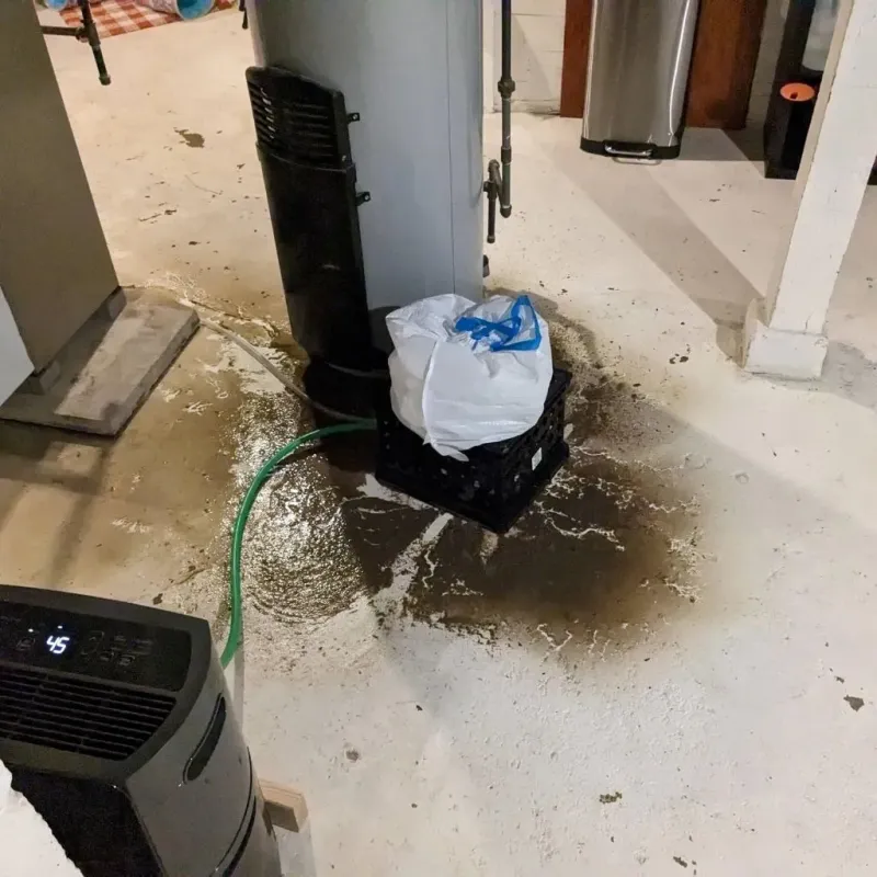 Sewage Backup Cleanup Service in Cambridge, OH